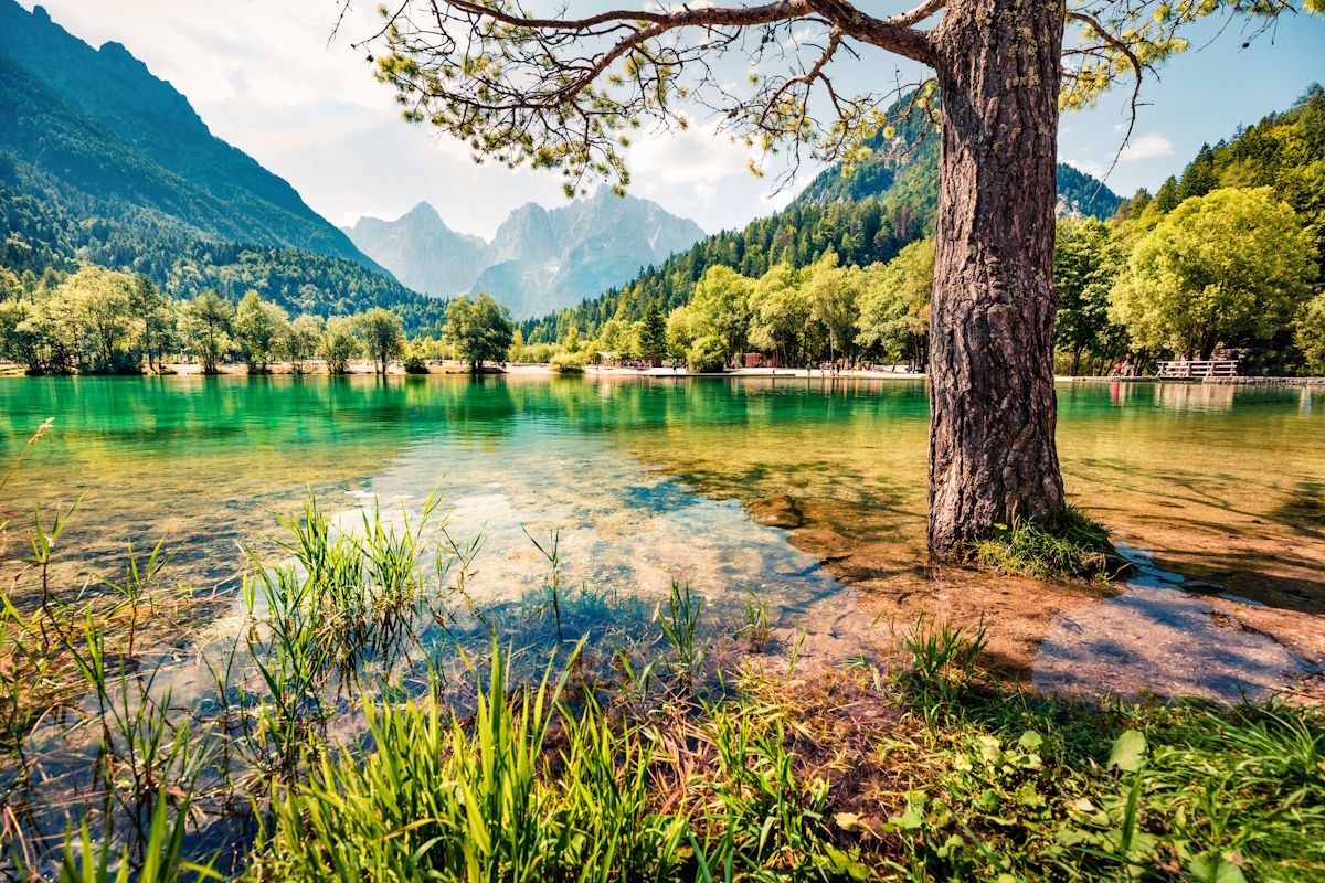 Umwelt & Natur